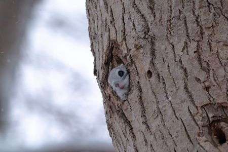 あけましておめでとうございます