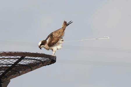 お食事中の方すいませんm(._.)m