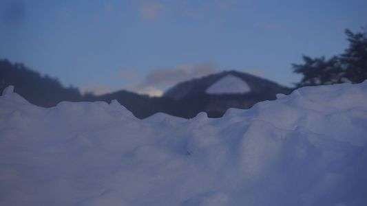 小さな生き物の目線になって