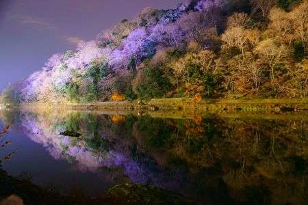 水面に映る紅葉