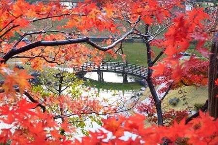 紅葉にかかる橋