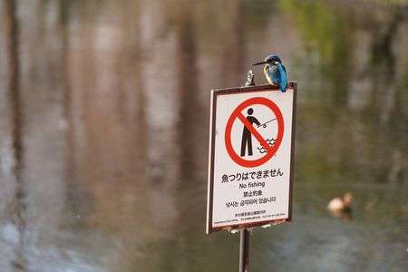 「とり」は含まれますか？