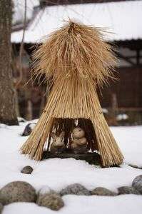 鶴岡タウンスナップ