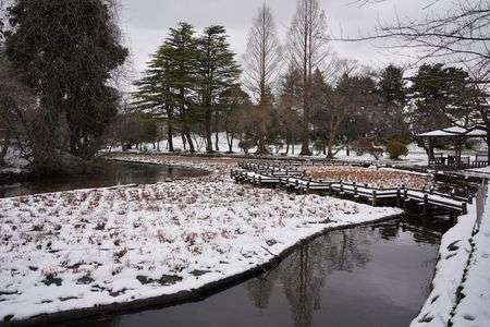 鶴岡タウンスナップ
