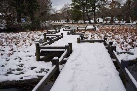鶴岡タウンスナップ