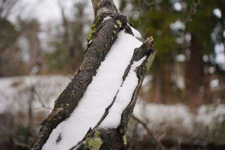 鶴岡タウンスナップ