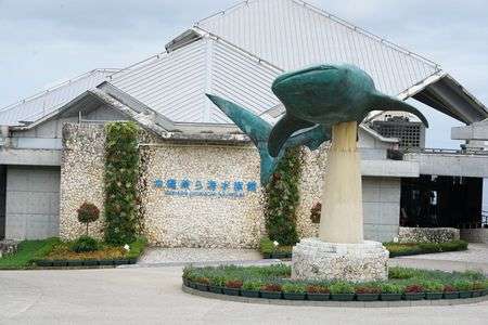 美ら海・かりゆし水族館制覇