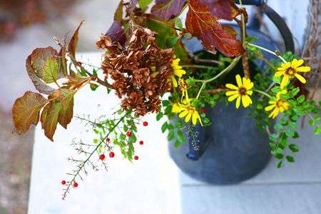 いらっしゃいませ