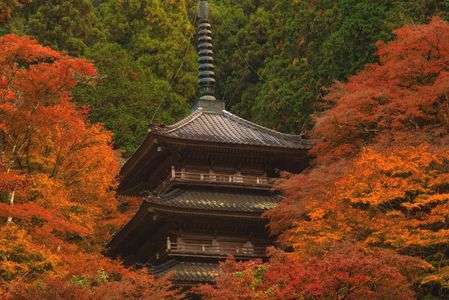 両手に花の古刹