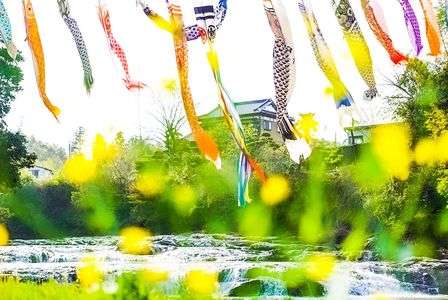 よりどりみどり