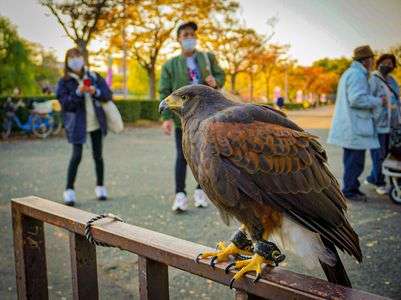 どこを見ているの？