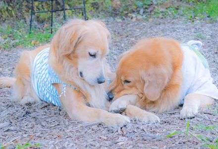 ずっとこのままで、、、