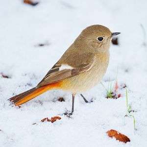 ❄️お散歩❄️