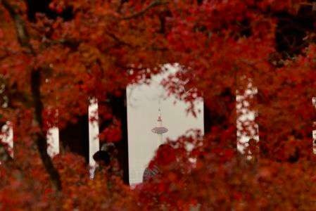 隙間からこんにちは