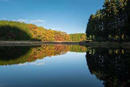 秋の水鏡