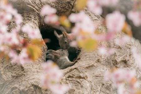 春の陽気に包まれて