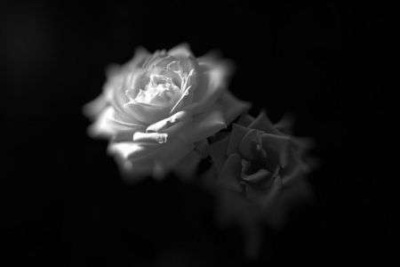 【こんなのもあったなぁ～！】-3