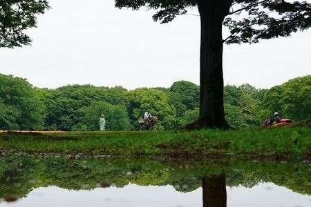 水たまりからの公園