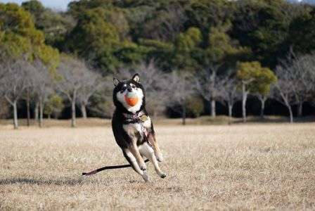 ナイスキャッチ