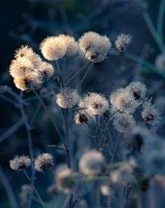 明日を見つめて