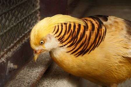 地面が気になる？