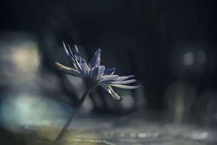 そこに光はあるか