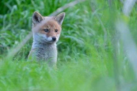 その出会いは突然に
