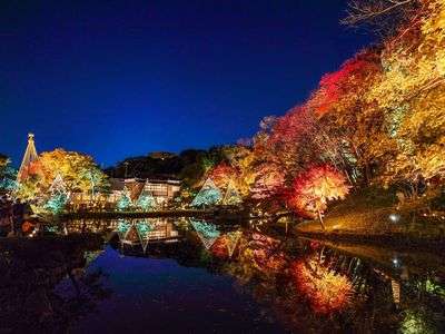 紅葉リフレクション