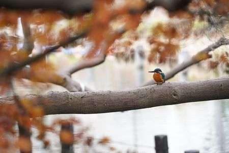 12月のベストショット