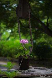 かくりょと、うつしよの際