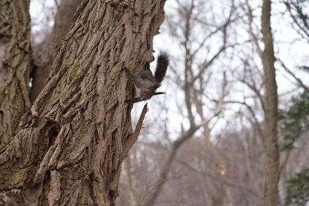 エゾリー🐿2022.03.26