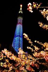 河津桜とスカイツリー