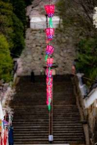 津山桜まつり2022