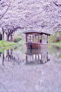 水面下の異世界