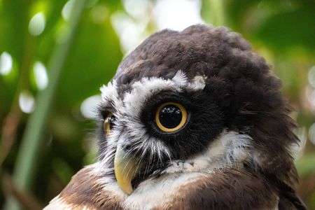 きゅるんとしたお目目がきれい