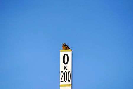 ちょっとひと休み