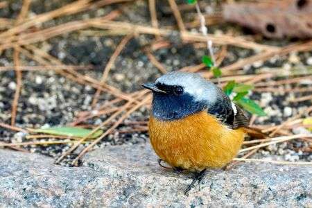 可愛いにも程がある!