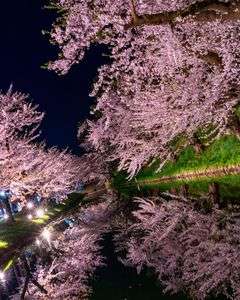 ハート見つけた