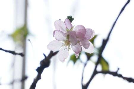 あったかい印刷室で。
