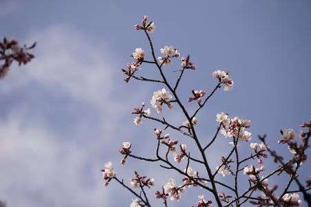 きたきた♪おまたせ^^