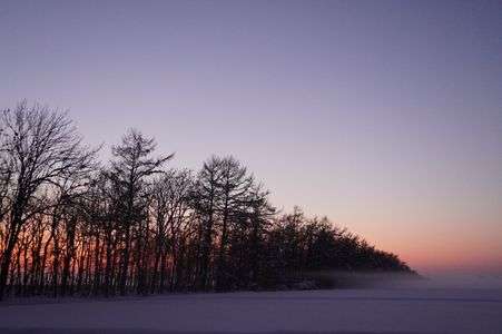 夕方、霧(?)がせまってきました‥‥