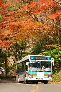紅葉と伊豆箱根バス