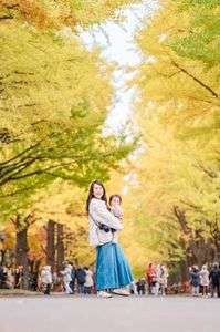 北大イチョウ並木でお散歩