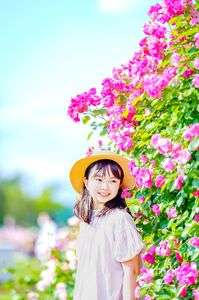 夕方の青空とバラ🌹