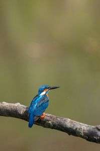 君は天然色 #壁紙2023#