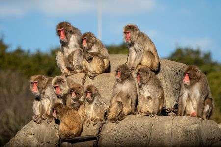 見つめる先には