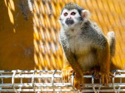 小さな視線、大いなる期待