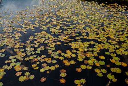 夏と秋の狭間の尾瀬