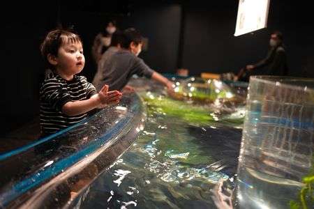 ふれあいプール