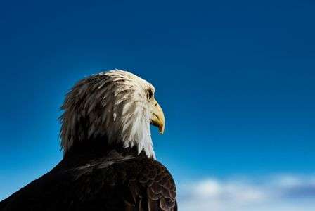 男の背中～那須どうぶつ王国～